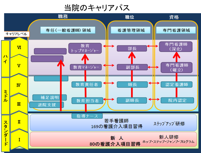 当院のキャリアパス